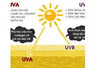 Tìm hiểu Tia UVA Và UVB Là Gì? Tác Hại Của Tia UV Đối Với Da như thế nào?